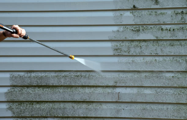Best Sidewalk and Walkway Cleaning  in South Bay, FL