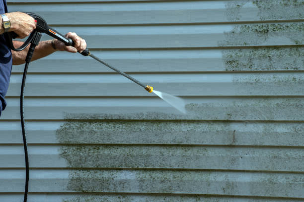 Best Solar Panel Cleaning  in South Bay, FL